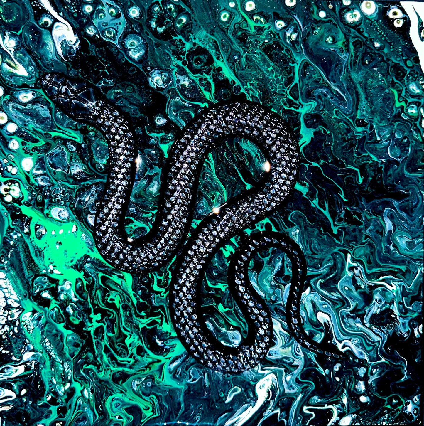Black pine snakes