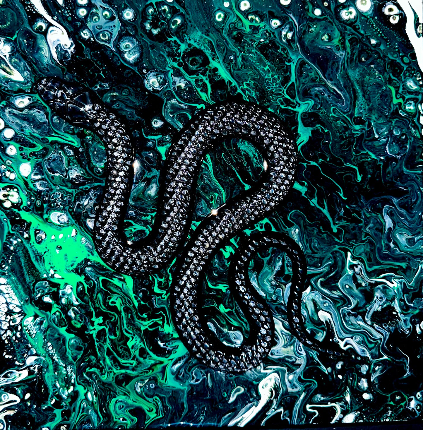 Black pine snakes