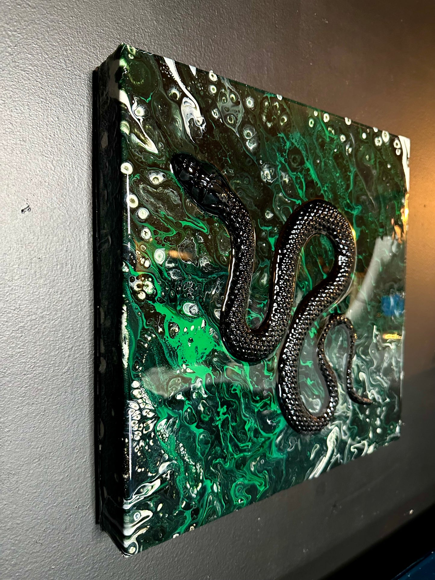 Black pine snakes